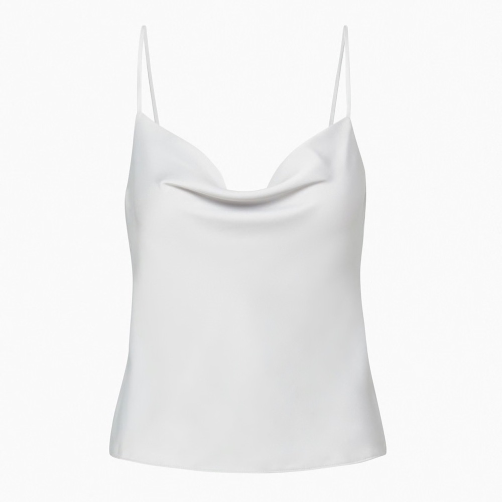 Aritzia Elegant Chrome Cowlneck Top